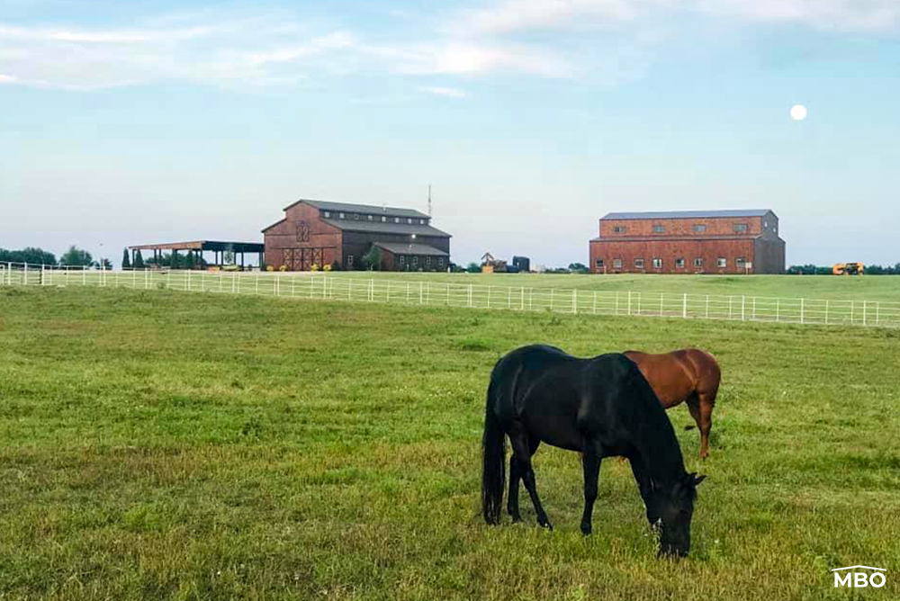 Steel Agricultural Barn Steel Barn