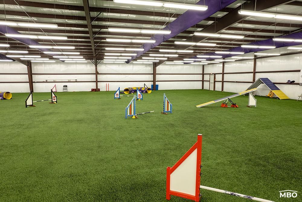 Show Arena Building Steel Arena Building